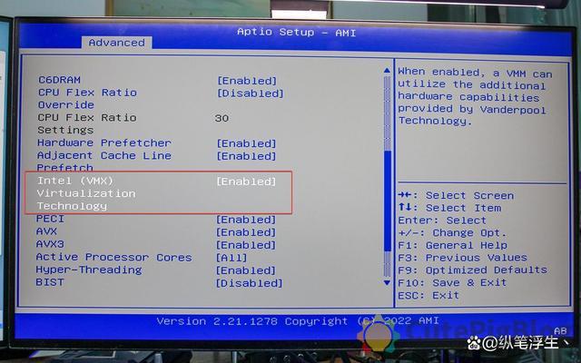 ESXi 8.0虚拟机必备知识与保姆级安装过程插图13