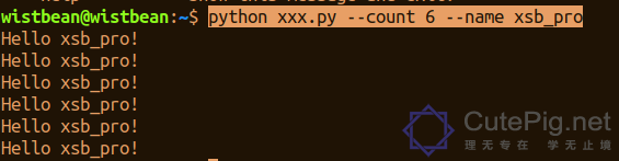 你真的会使用 Python 命令吗？