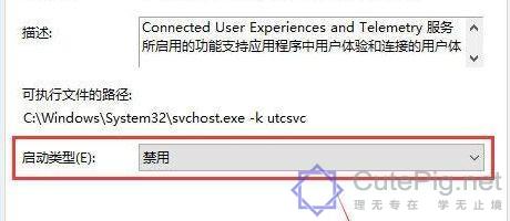 win10服务主机太占cpu怎么关闭_win10服务主机太占内存处理方法插图2
