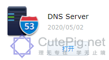 群辉NAS 自建DNS服务器解决内网域名无法访问（NAT回流）插图1