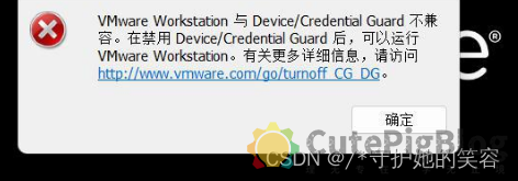 win11使用vmware提示device/credential guard 与 Device/Credential Guard 不兼容与vmware开机虚拟机蓝屏解决方法、win11的xhell包插图1