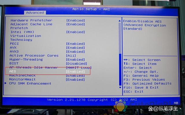ESXi 8.0虚拟机必备知识与保姆级安装过程插图15