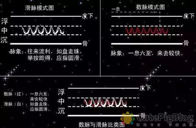 教你把脉，最全动图并心法口诀！插图37