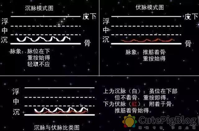 教你把脉，最全动图并心法口诀！插图38