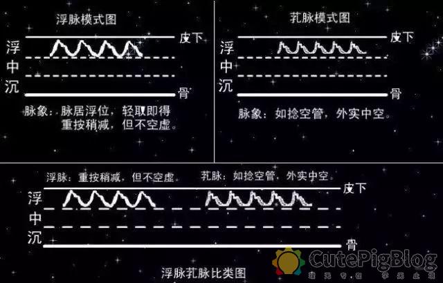 教你把脉，最全动图并心法口诀！插图39