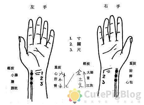 教你把脉，最全动图并心法口诀！插图1