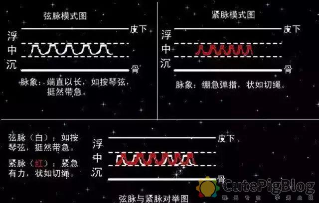 教你把脉，最全动图并心法口诀！插图36